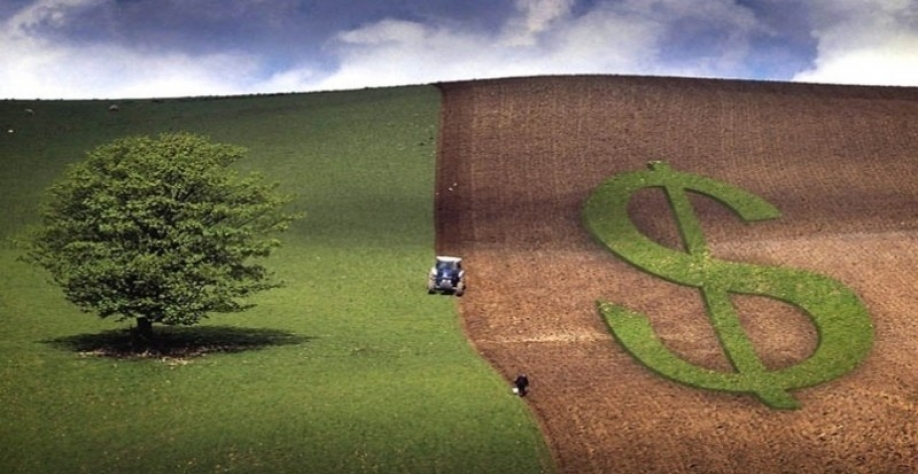 MAPA estima VBP em 2022 de R$ 1,208 trilhão, + 3% ante 2021 