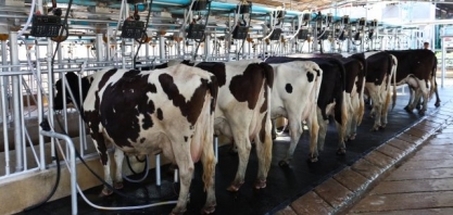 Leite/Cepea: Preço pago ao produtor sobe 3% em março