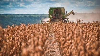 Lucro cai e incertezas pairam sobre a agricultura em 2022