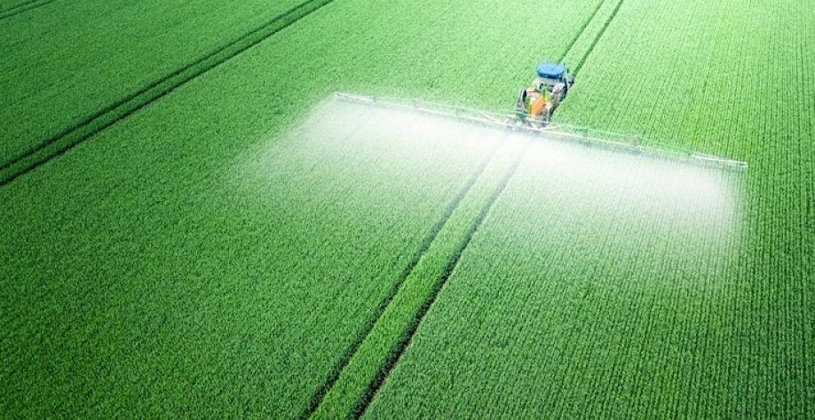 Escassez de fertilizantes ameaça oferta global de alimentos
