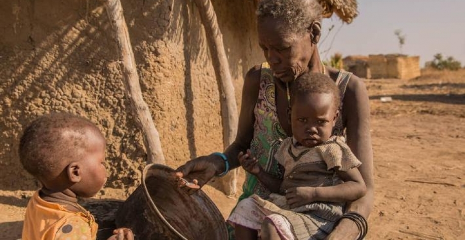 Crise alimentar cresce com preços em alta atingindo exportação