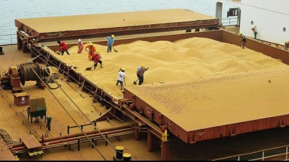 Anec eleva previsão de embarques de soja e reduz a de milho, trigo e farelo