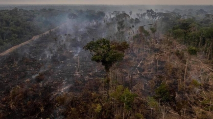 Amazônia perde potencial de se recuperar de secas por causa de desmate