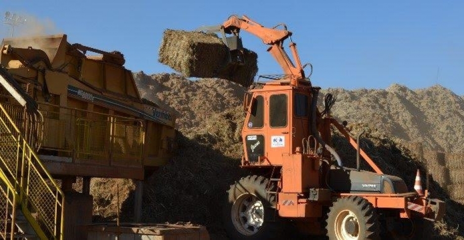 Energia: Bagaço de cana ajuda País no maior avanço em cogeração desde 2015