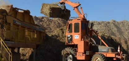 Energia: Bagaço de cana ajuda País no maior avanço em cogeração desde 2015