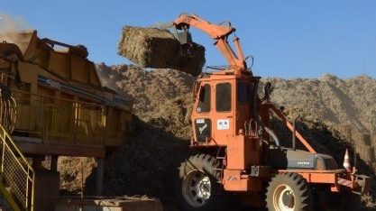 Energia: Bagaço de cana ajuda País no maior avanço em cogeração desde 2015