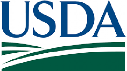 China fecha maior compra de milho dos EUA desde maio de 2021, diz USDA
