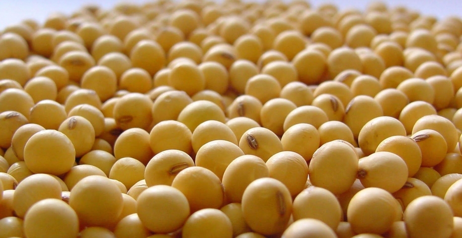 China reduz 18,2% importação de soja em março, para 6,35 milhões de t