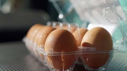 Gripe aviária e guerra na Ucrânia aumentam preços de ovos no mundo