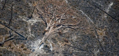 Mudança ampliou risco de prescrição de multas ambientais, admite Ibama
