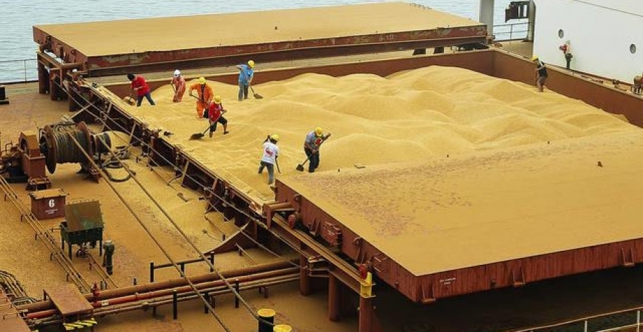 Exportação de soja do Brasil deve cair 29% em abril ante recorde de 2021 