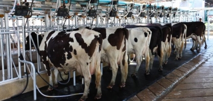 Lácteos: Restrições na China pesam sobre cotações internacionais