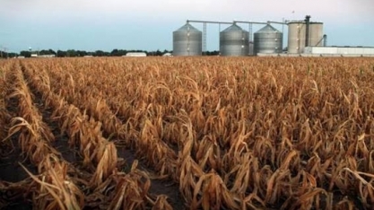 EUA sofrem com a seca que deve elevar o preço dos alimentos