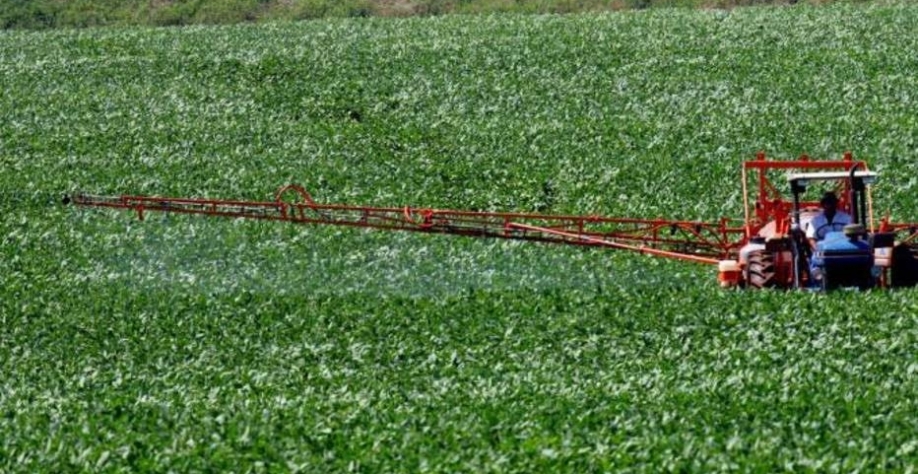 7ª Estimativa para safra 2021/22 indica produção de 269,13 mi de t, + 5,4%