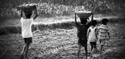 Trabalho infantil no Brasil pode ser 7 vezes maior do que apontam pesquisas