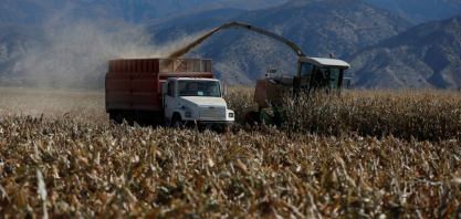 Saca de milho custa quase o dobro de dois anos atrás