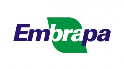 Lucro social da Embrapa em 2021 foi de R$ 82 bilhões