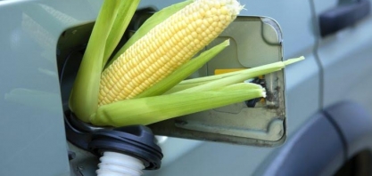 EUA estuda aumento do etanol na gasolina no verão para domar preço