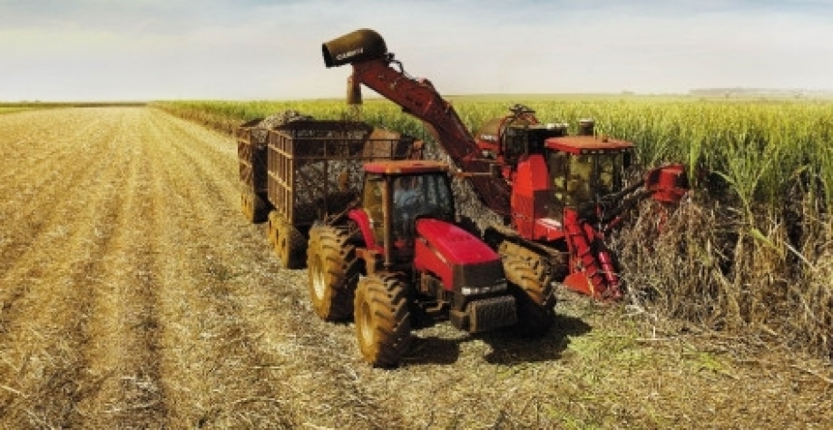 Oferta reduzida em março impulsiona preços de etanol e açúcar 