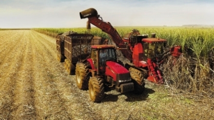 Oferta reduzida em março impulsiona preços de etanol e açúcar 