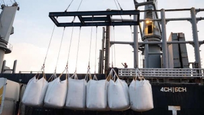  Açúcar: Exportação em março cai 26,71% ante março/21 