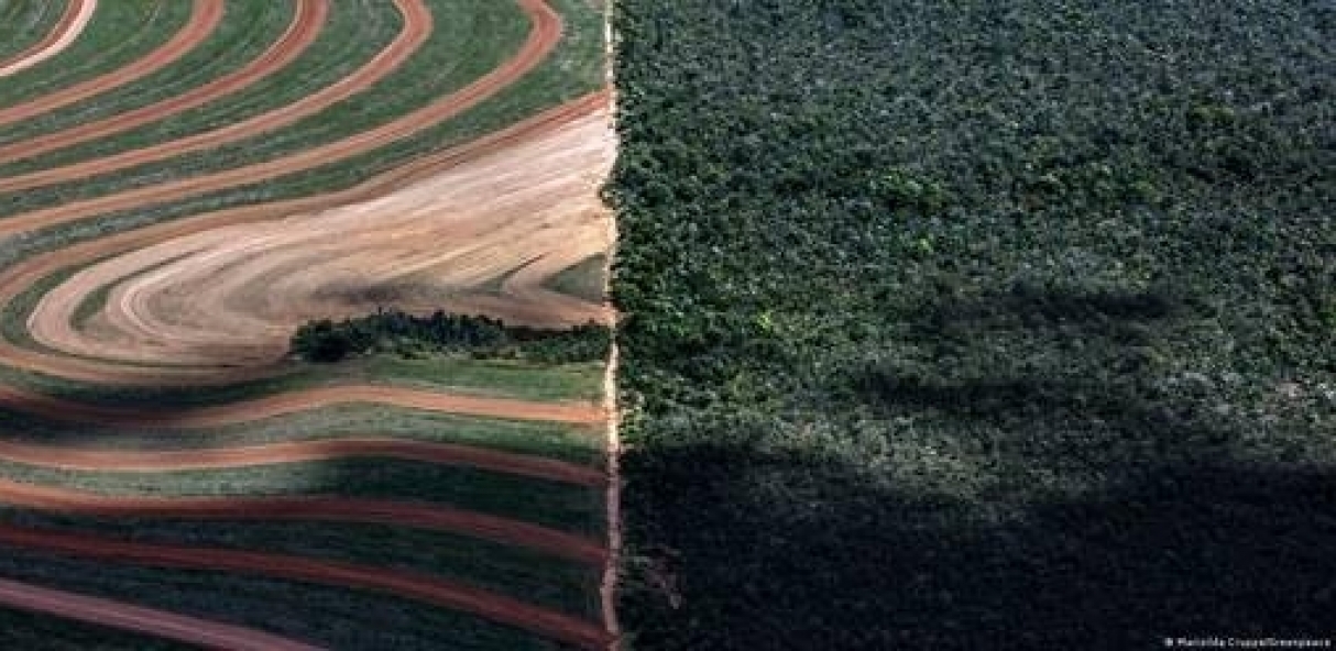 Fronteira de área agrícola com vegetação nativa do Cerrado - Foto Marizilda Cruppe Greenpeace