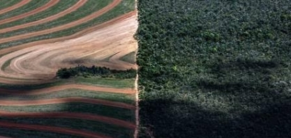 Intoxicação por agrotóxicos mata um brasileiro a cada 2 dias