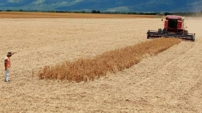 Exportações do agronegócio sobem 29,4% em março e atingem valor recorde