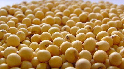 Exportações do agronegócio rendem US$ 131 bilhões em 12 meses 