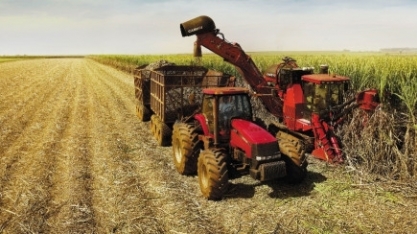 Safra de cana 2021/22 termina com queda de 14% na moagem