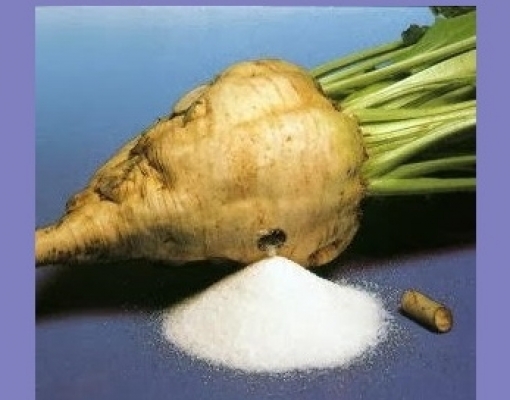 UE/USDA: Menor área plantada traz queda na produção de açúcar em 2022/23