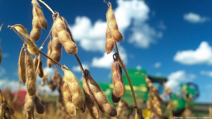 Por que a guerra na Ucrânia pode ser benéfica para o Brasil