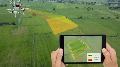 Alternativas a fertilizantes importados ganham terreno; conheça