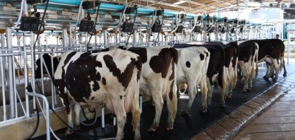 Em alta no campo, leite pressiona taxa de inflação