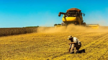 Queda de preços deixam vendas de soja da safra 2021/22 mais lentas