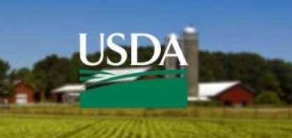 USDA: Plantio de milho nos EUA continua atrasado