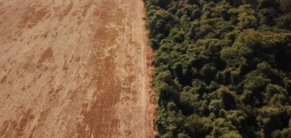 Atenção, empresas, a litigância climática está chegando