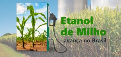 Produção de etanol do milho avança 34% com quebra histórica da cana