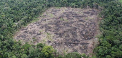Empresários cobram metas de desenvolvimento sustentável dos presidenciáveis