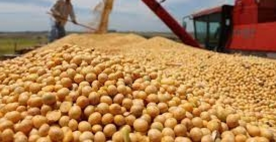Exportação do agronegócio tem recorde para mês de abril com alta de preços