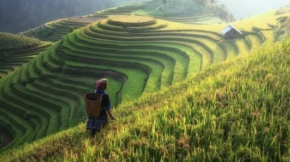 China vai subsidiar R$ 7,3 bilhões aos seus produtores de grãos
