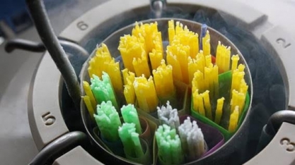  Brasil abre mercados para material genético e farinhas de origem animal