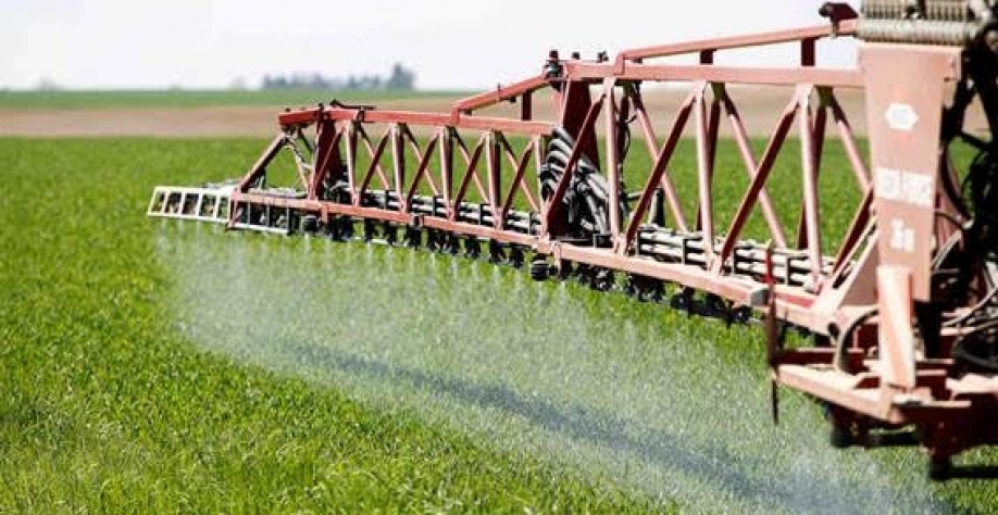 Legenda: As sementes geneticamente modificadas responderam por 90% dos pedidos, ante 80,7% um ano antes (Imagem: REUTERS/Michaela Rehle)