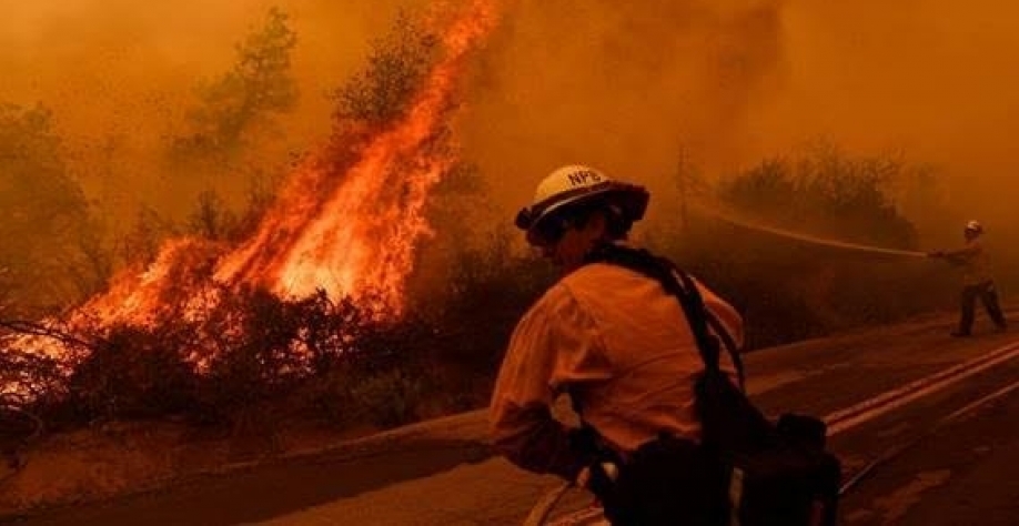 Legenda: Bombeiros combatem incêndio em floresta na Califórnia, nos EUA, em setembro de 2021 - Patrick T. Fallon/AFP