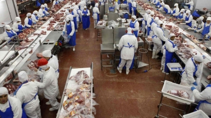 Abate de bovinos sobe 4,7% no 1º trimestre ante ano anterior 