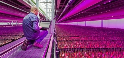 Futuro do alimento: Revolução dos principais fatores de produção já começou