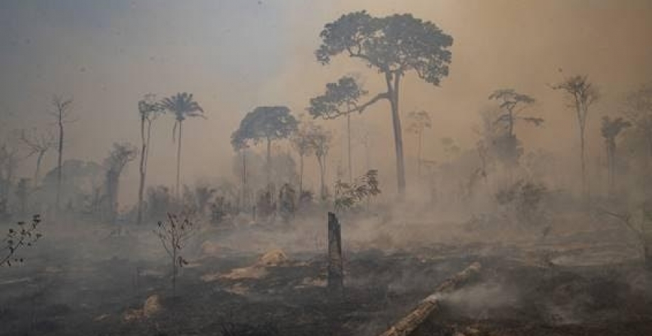 Amazônia tem recorde de desmate em abril, com mais de 1.000 km2 derrubados