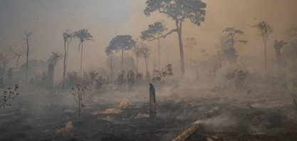 Amazônia tem recorde de desmate em abril, com mais de 1.000 km2 derrubados