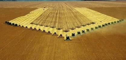 Os caminhos para o Brasil liderar produção de alimentos no mundo