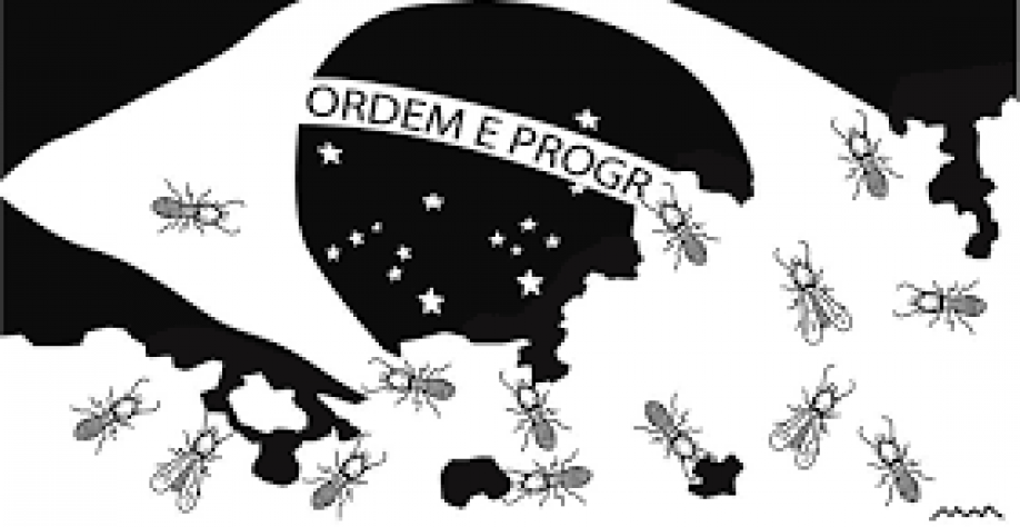 Governo fiscalizou menos de 3% dos alertas de desmatamento no país